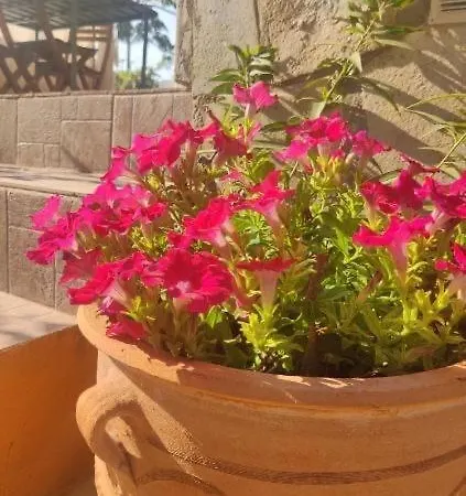 Holiday home Irini's House Seaside